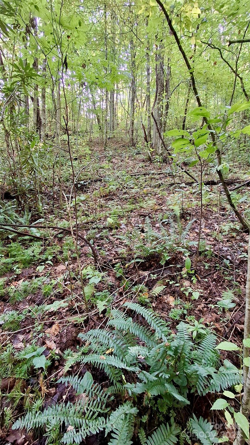 0 Cross Creek Circle