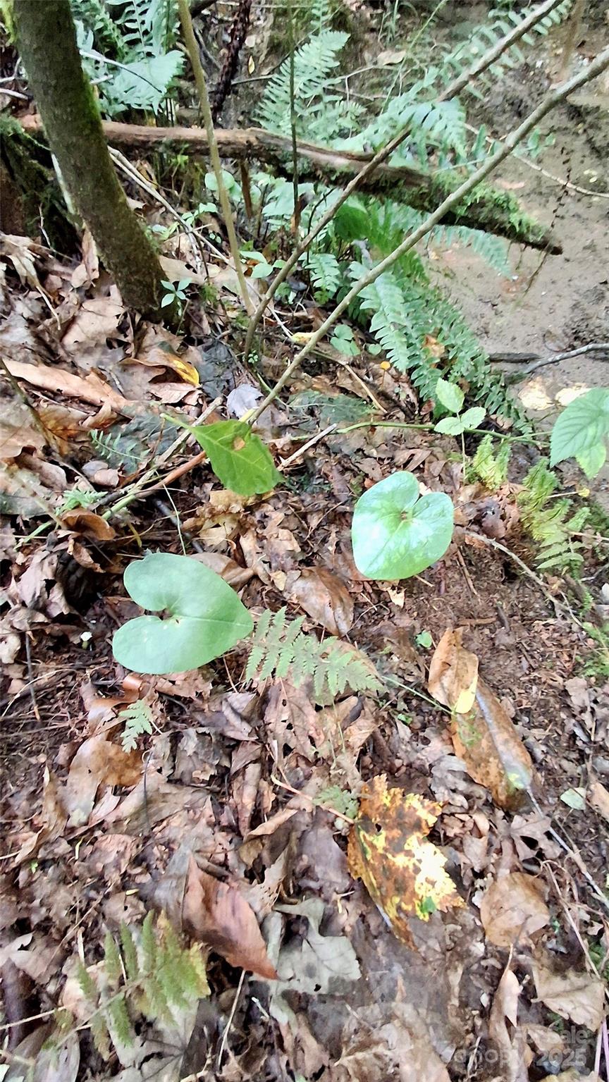 0 Cross Creek Circle