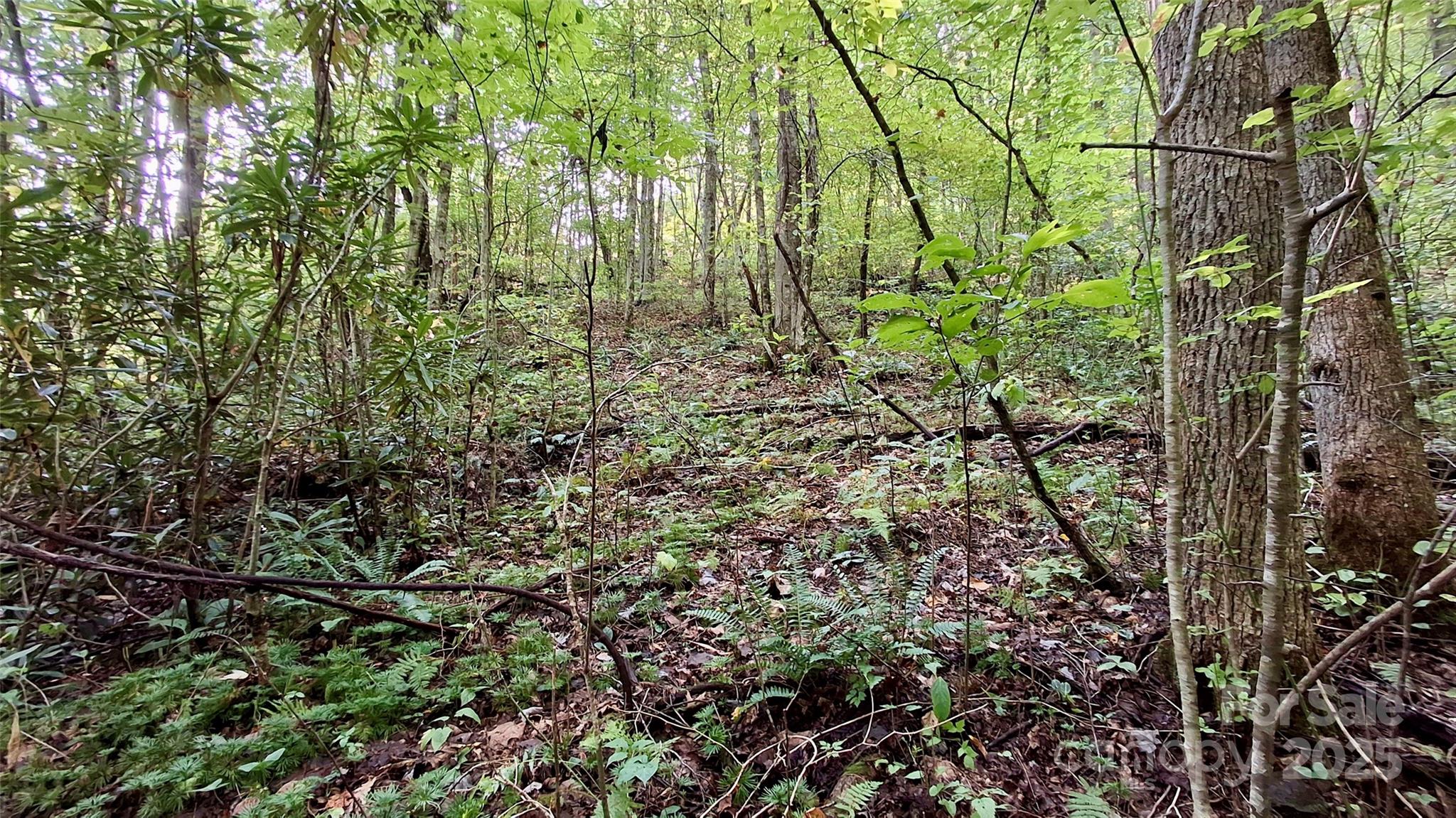 0 Cross Creek Circle