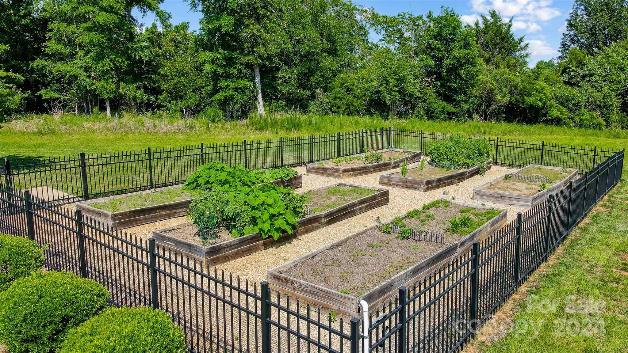 Augusta Place at Laurel Creek - Residential