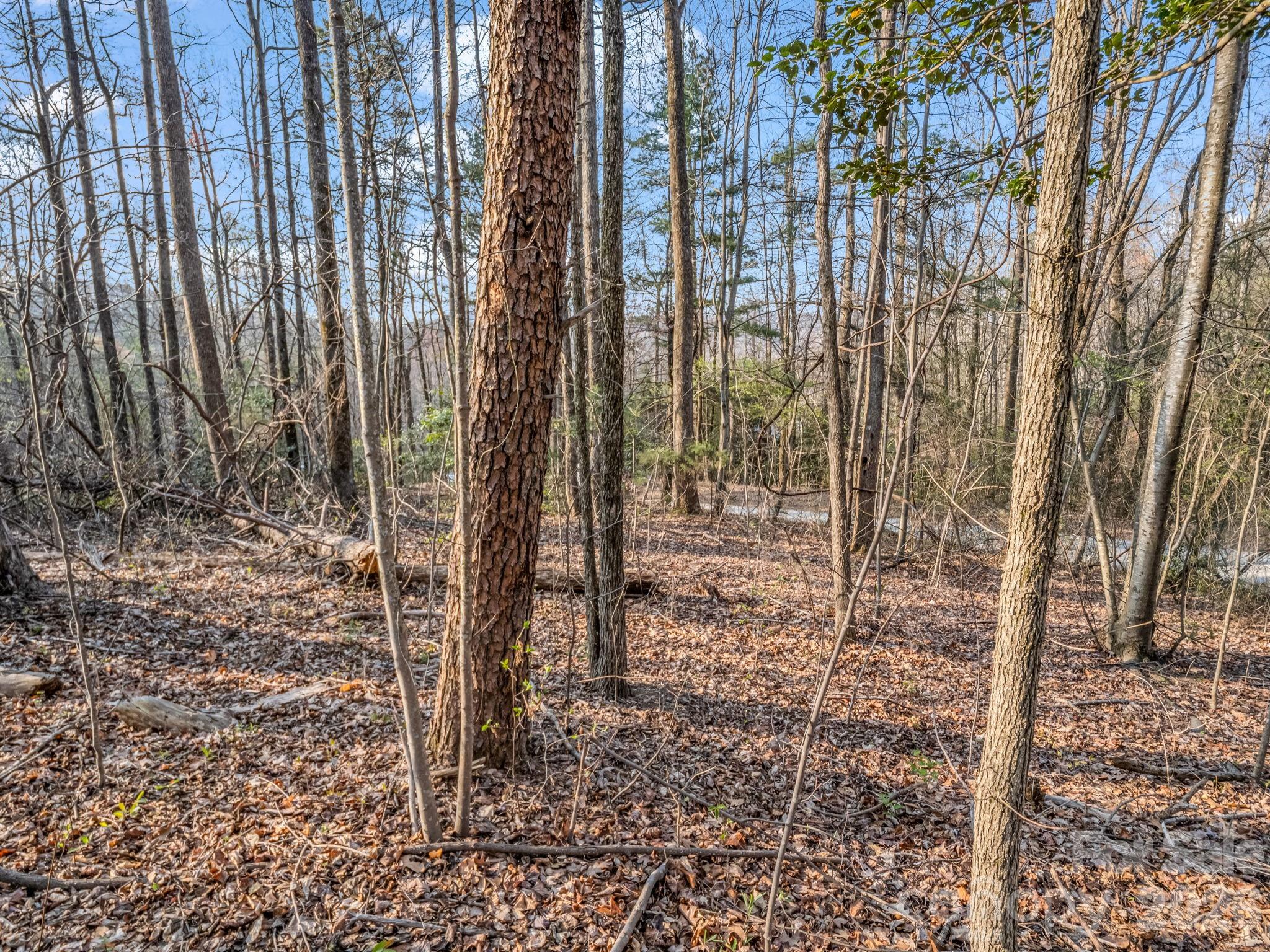 TBD Mountain Lakes Drive 460