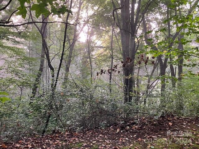 Utah Mountain Estates - Land