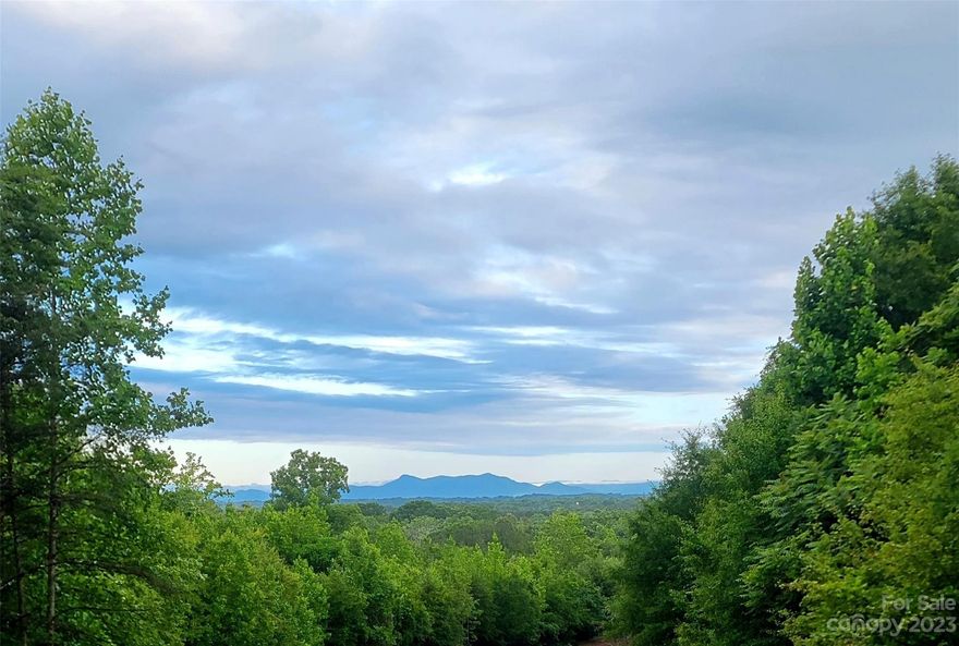 Only 6 miles from shopping and dining in Boiling Springs, NC, this 80 acres tract is being divided into 7 separate 10+ acre lots. Lot 3 is approximately 10.28 acres. Gated community. Mostly level and very buildable lot. Easy access to Hwy 74. Spring head on lot 3.