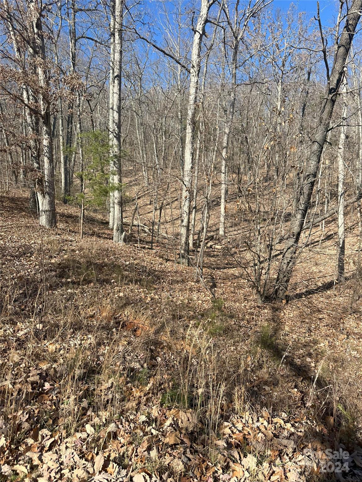 TBD Ridge Creek Drive 6,4,7