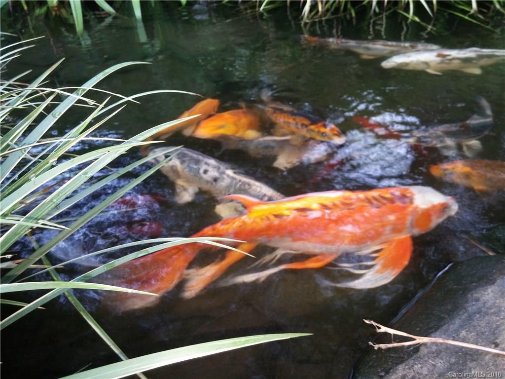 Williamsburg - Residential