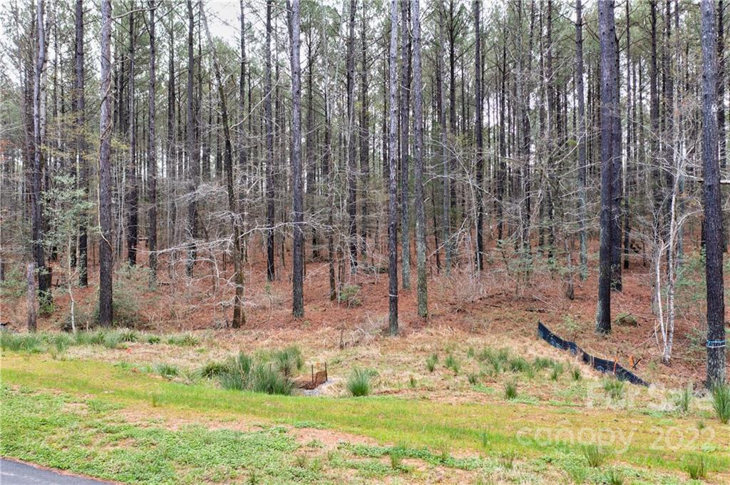 Riverchase Estates - Land