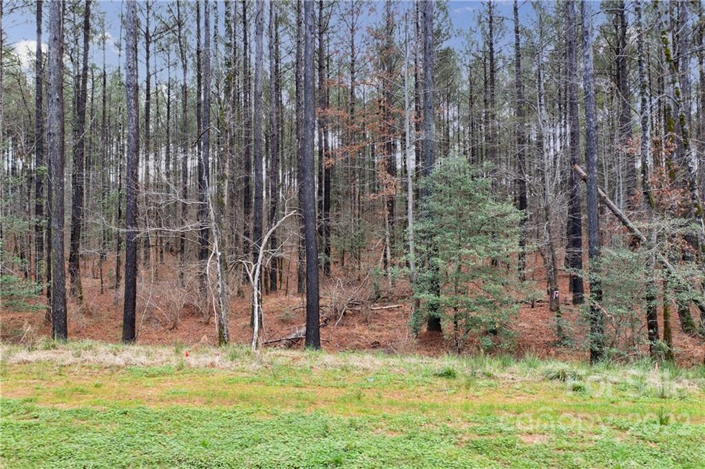 Riverchase Estates - Land