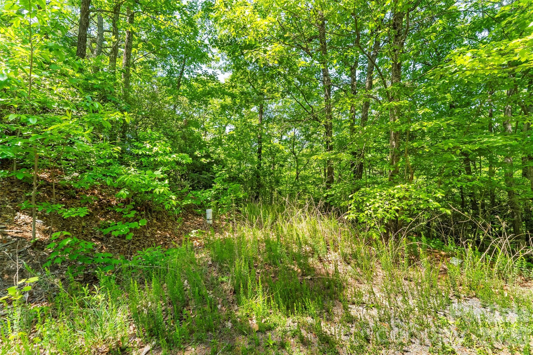 1620 North Haven Drive CC18