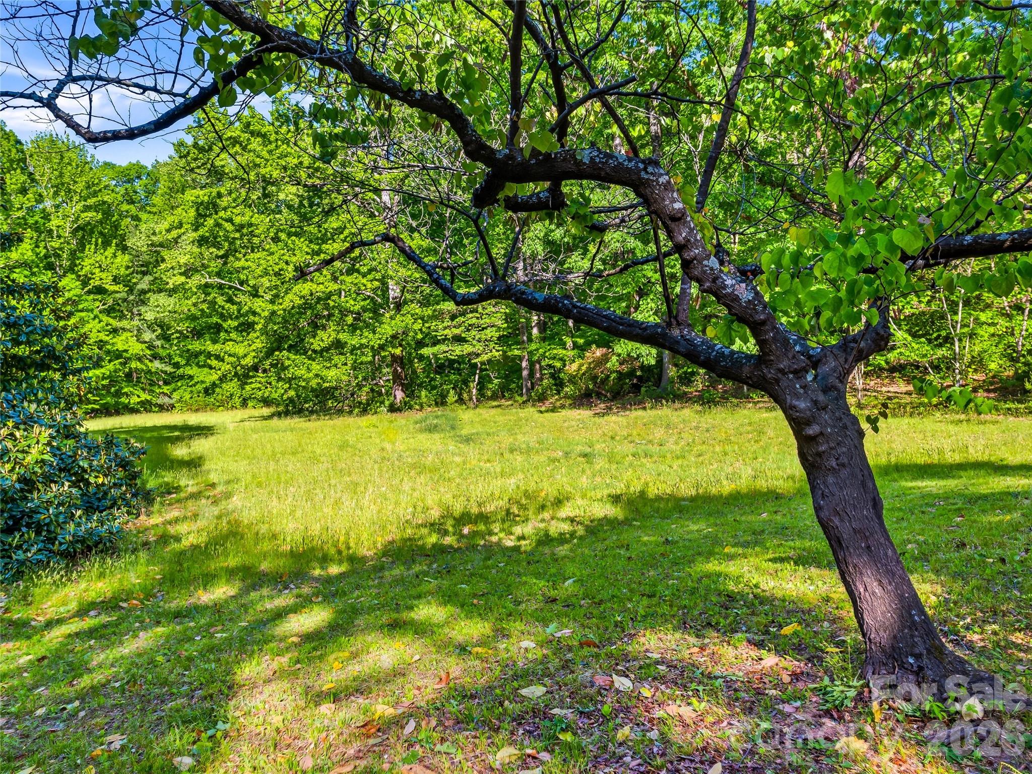 Mountain Shadows - Residential