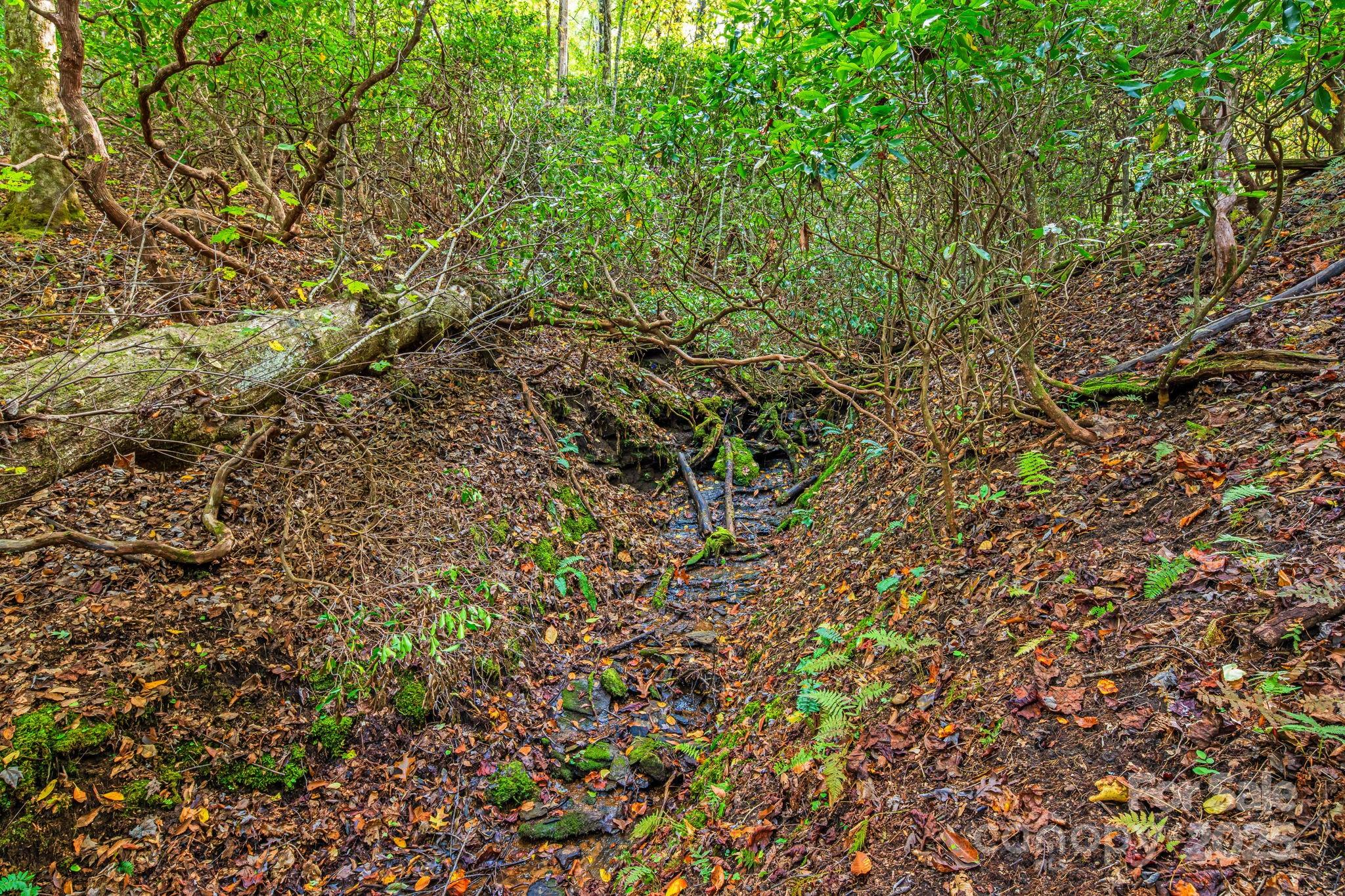 Line Runner Ridge - Residential