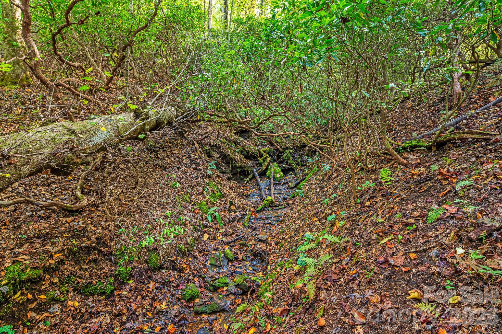 Line Runner Ridge - Residential