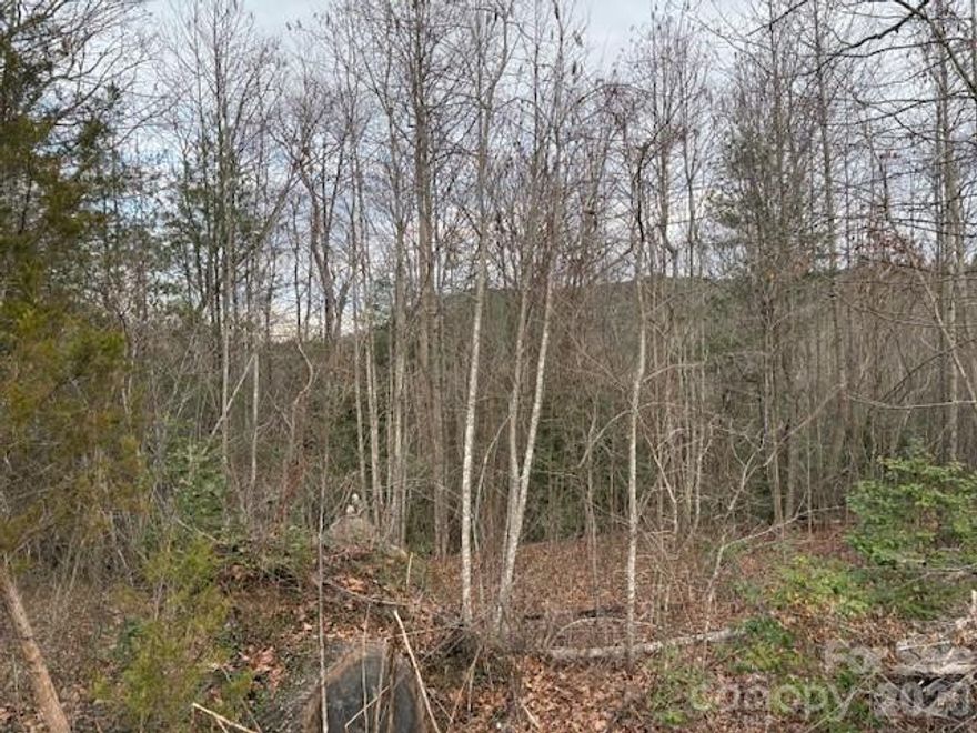 Beautiful 11.77± acre tract in Lower Fork Township, Burke County, near Connelly Springs. Wooded land with a branch/creek, gentle topography, and multiple potential building sites—ideal for a private estate, homestead, or recreational use. Located along Old NC Highway 18 with convenient access while maintaining a quiet rural setting. Just minutes from South Mountain State Park and South Mountain Baptist Camp, offering excellent outdoor recreation nearby. A great opportunity to own usable acreage in a desirable area.