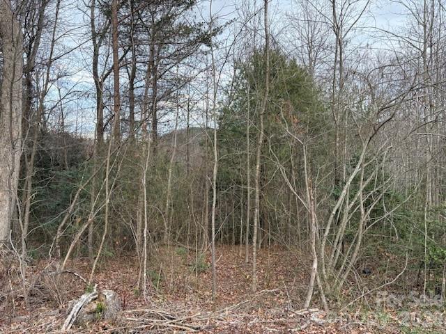 0 S Old Nc 18 Highway S