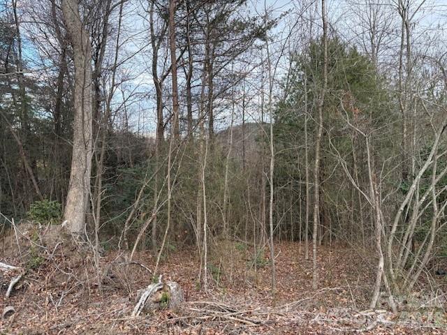 0 S Old Nc 18 Highway S