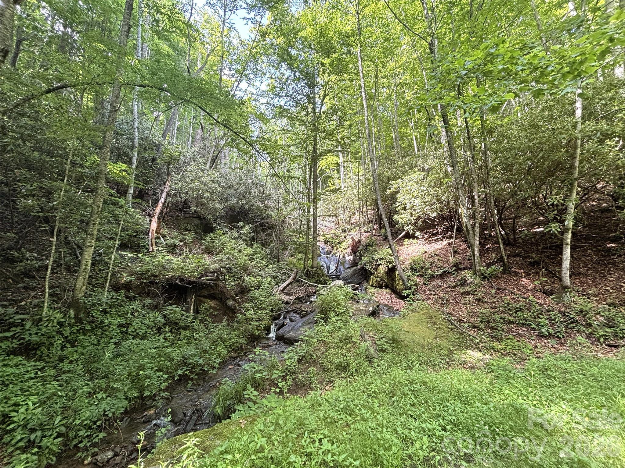 Big Springs Cove Estates - Land