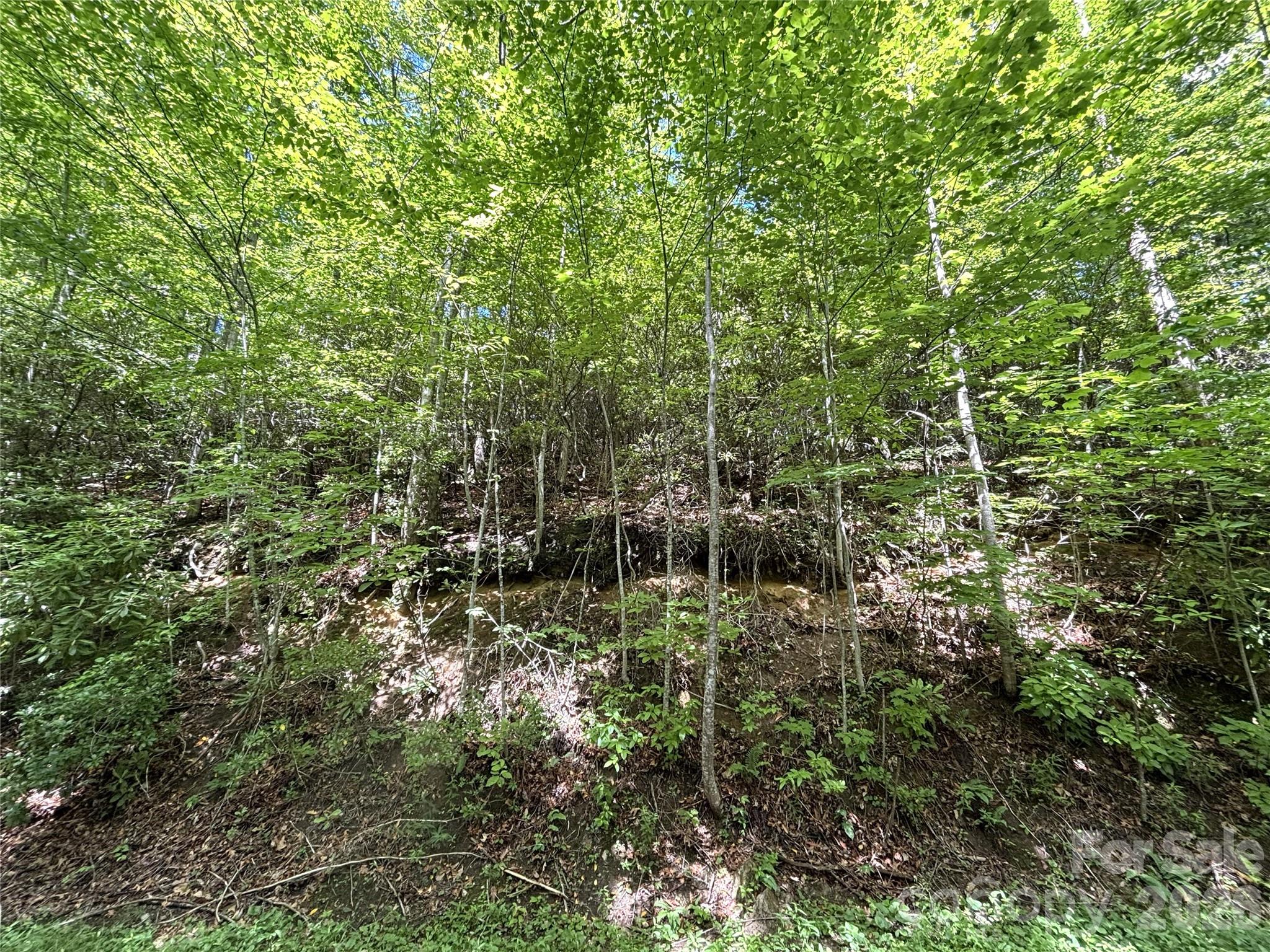 Big Springs Cove Estates - Land
