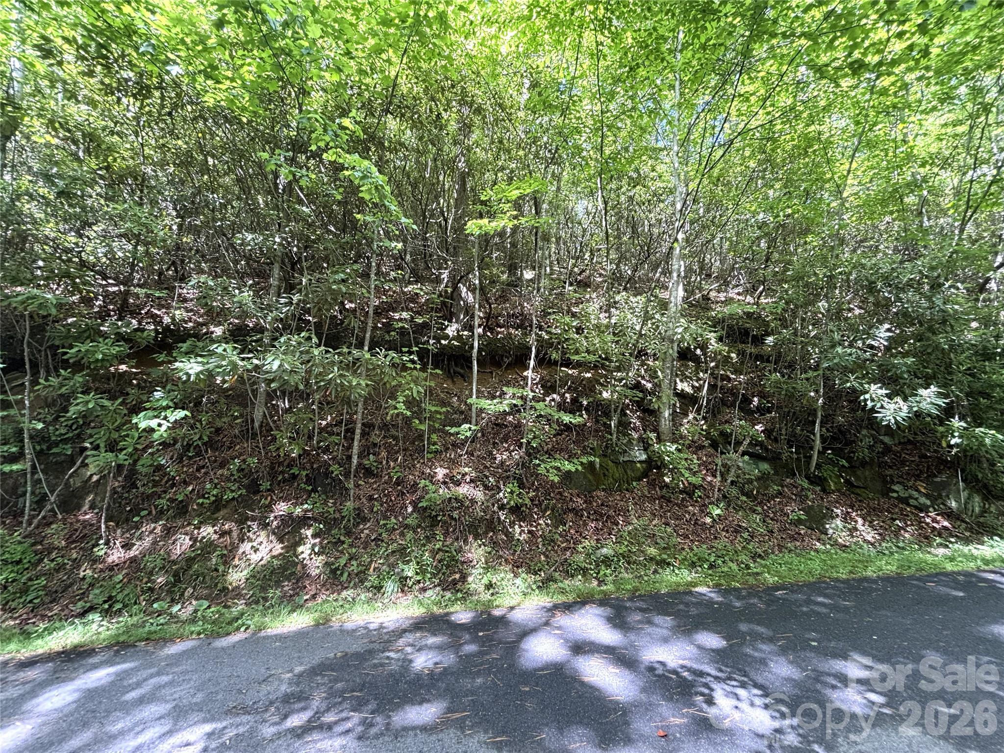Big Springs Cove Estates - Land