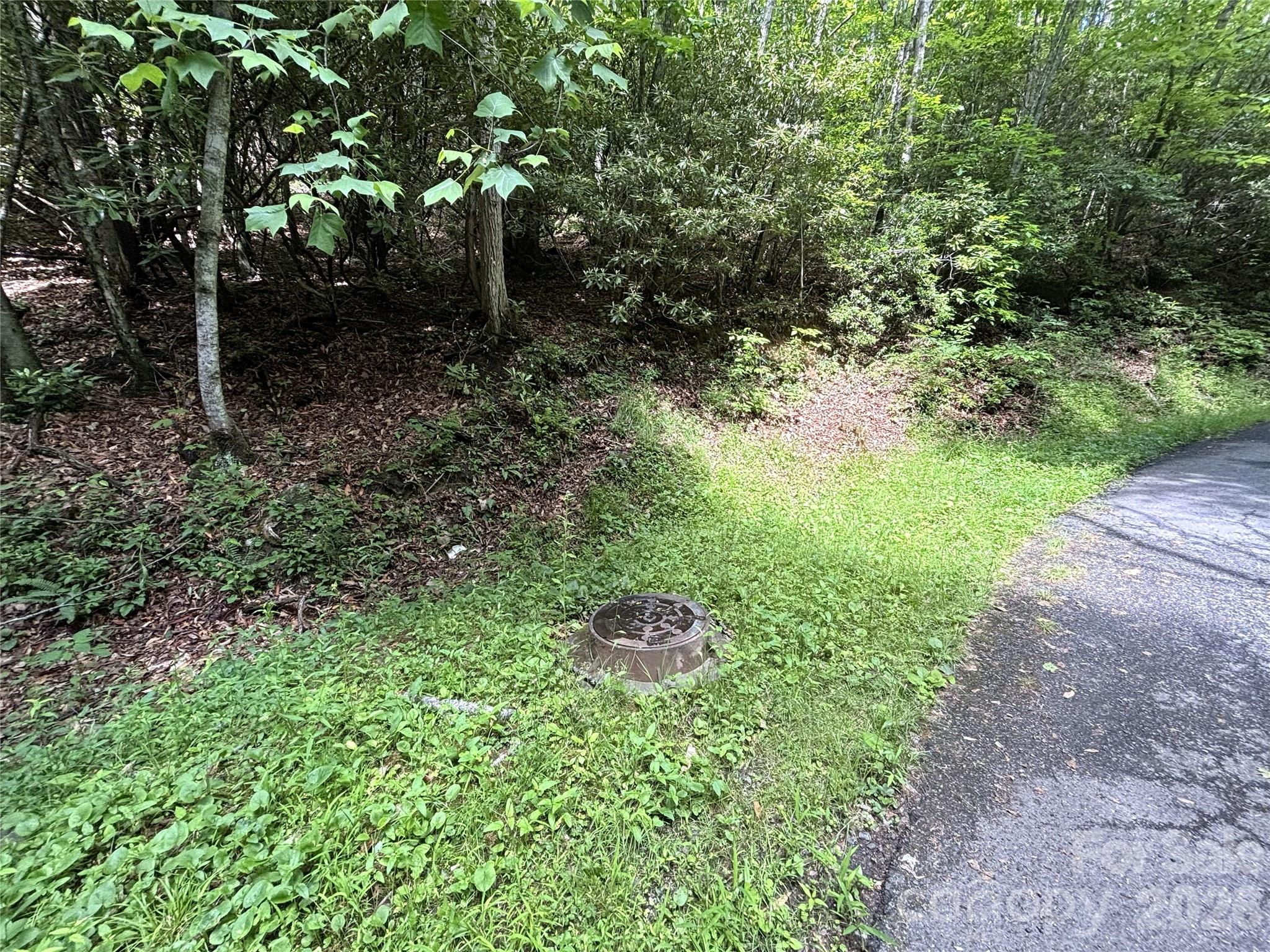 Big Springs Cove Estates - Land