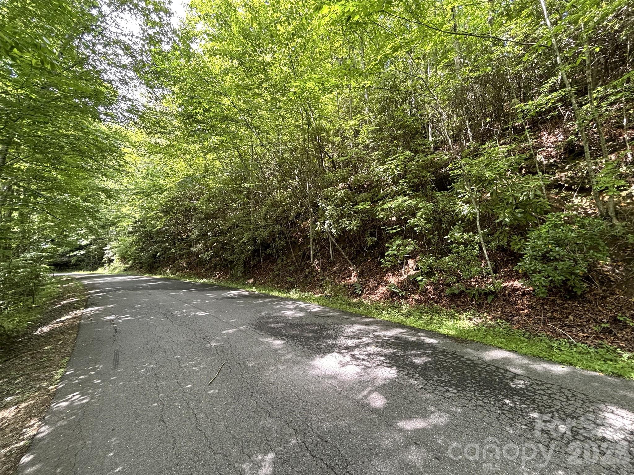 Big Springs Cove Estates - Land