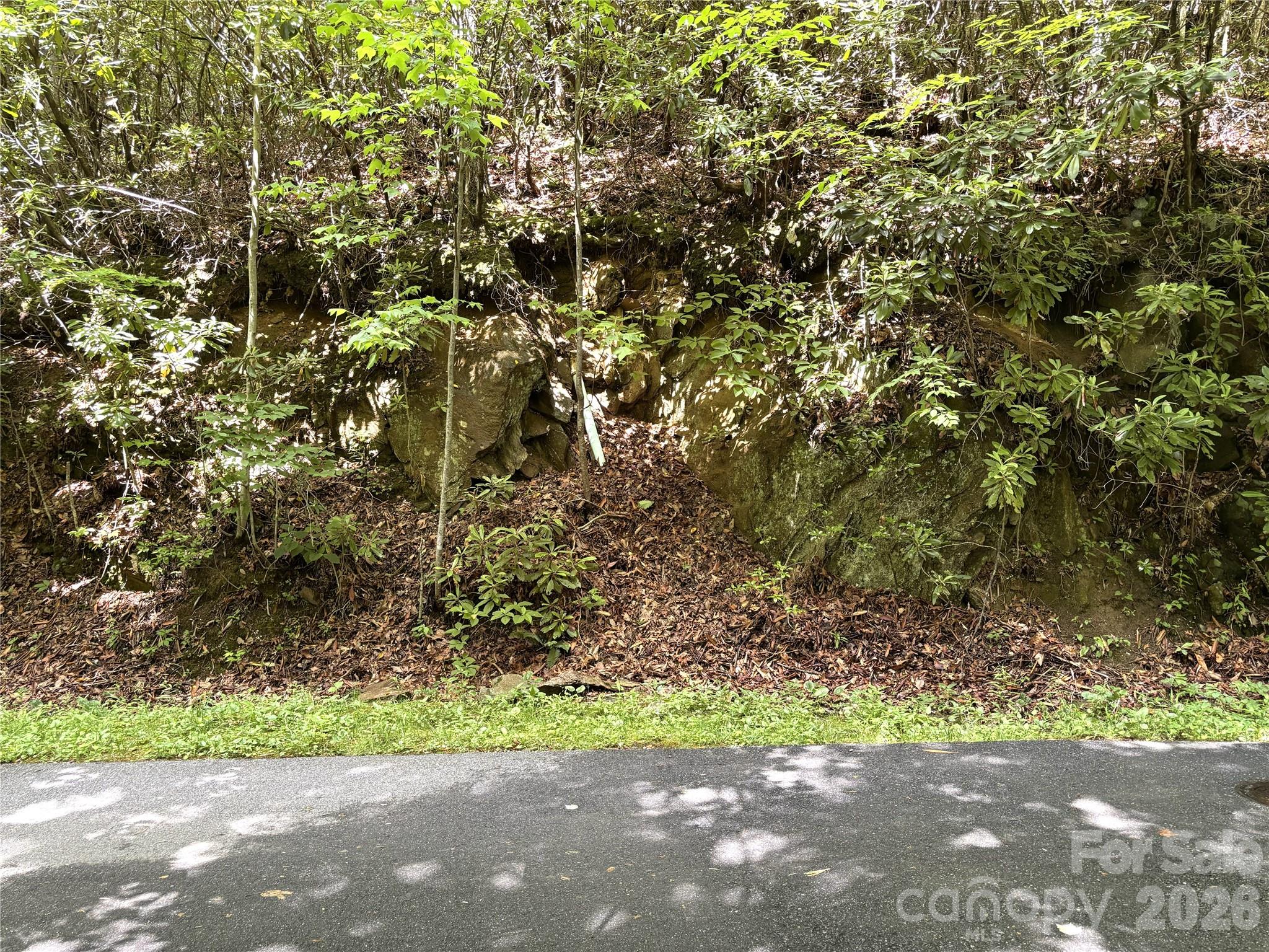Big Springs Cove Estates - Land