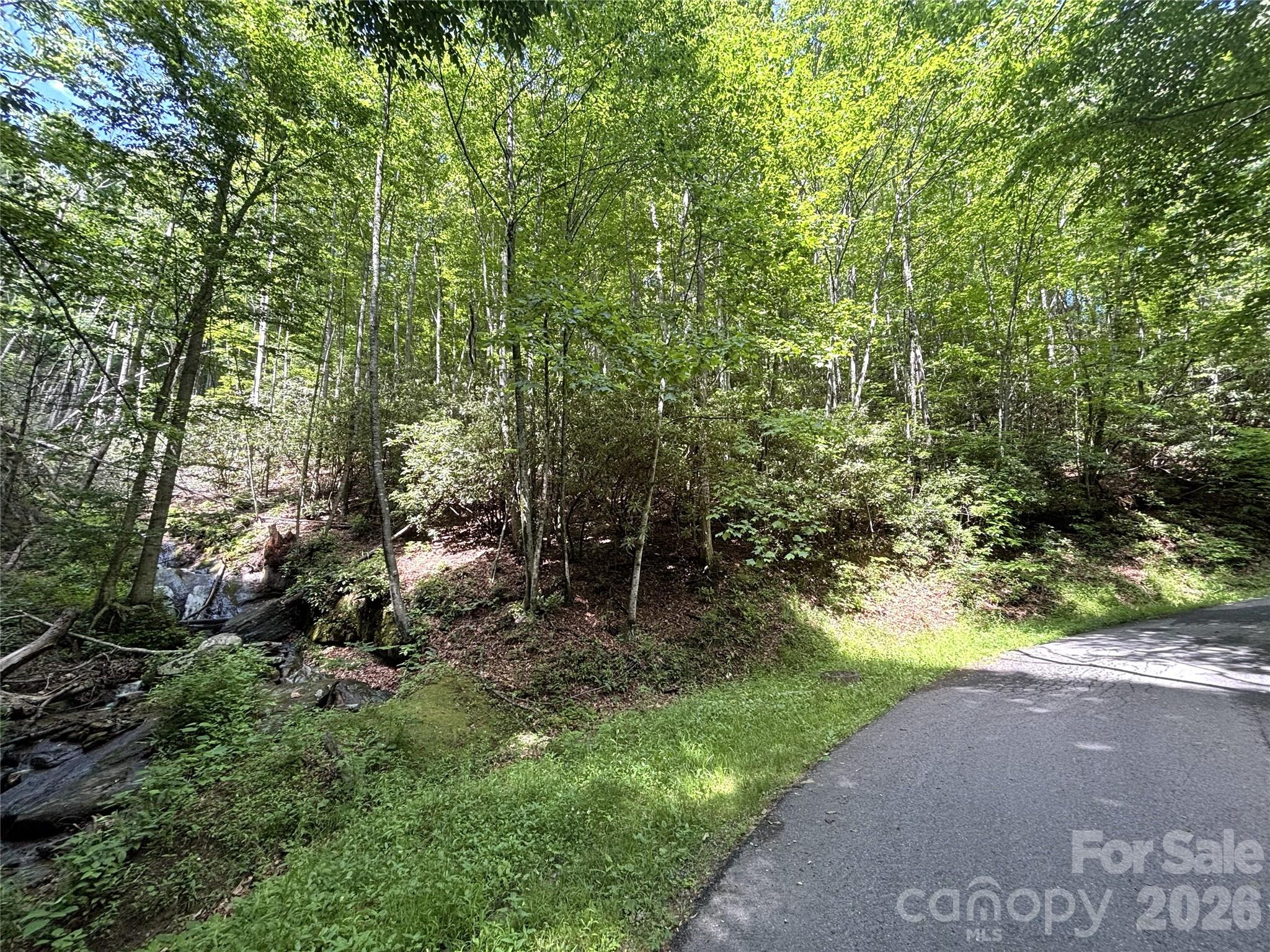Big Springs Cove Estates - Land