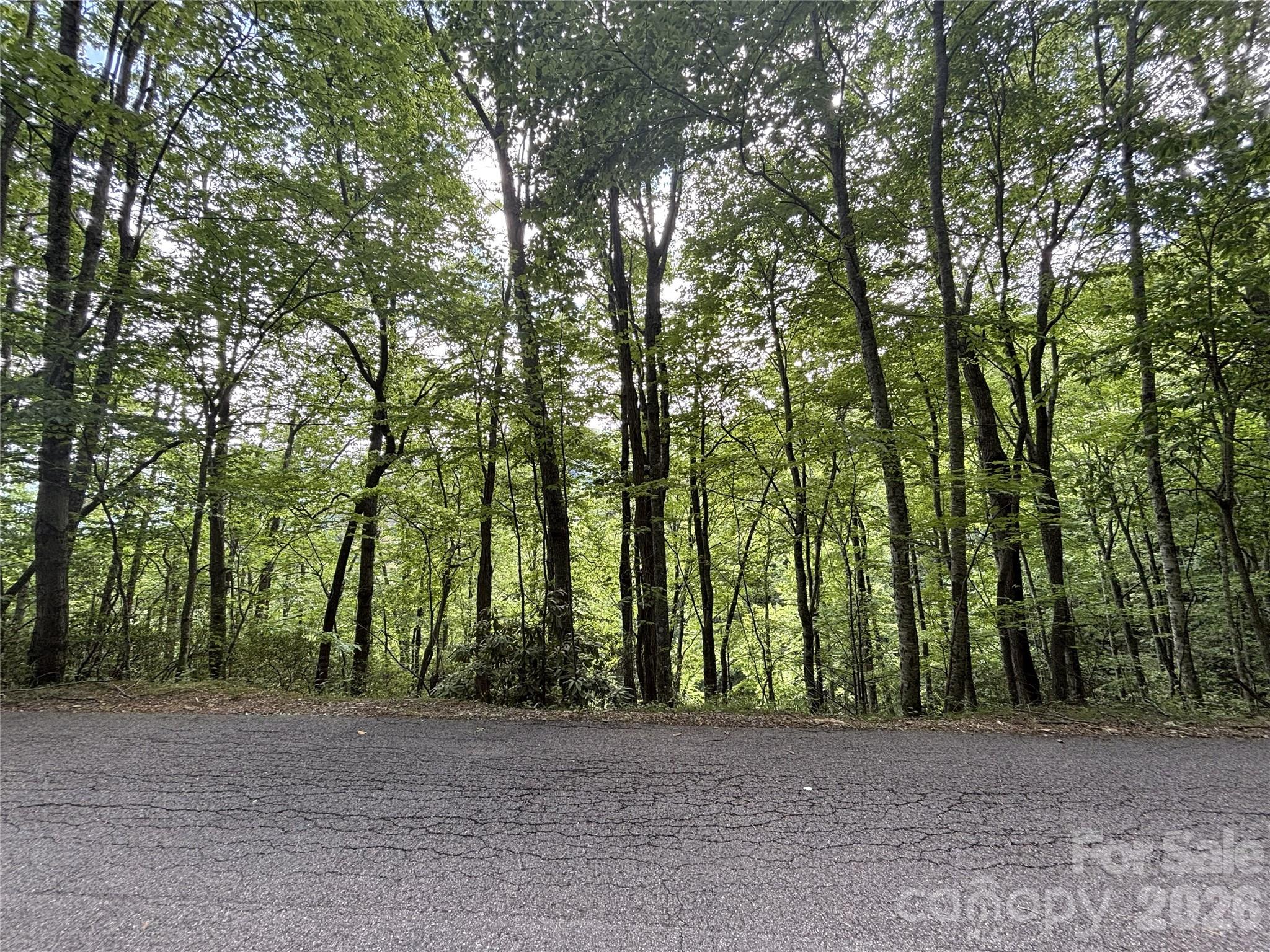 Big Springs Cove Estates - Land