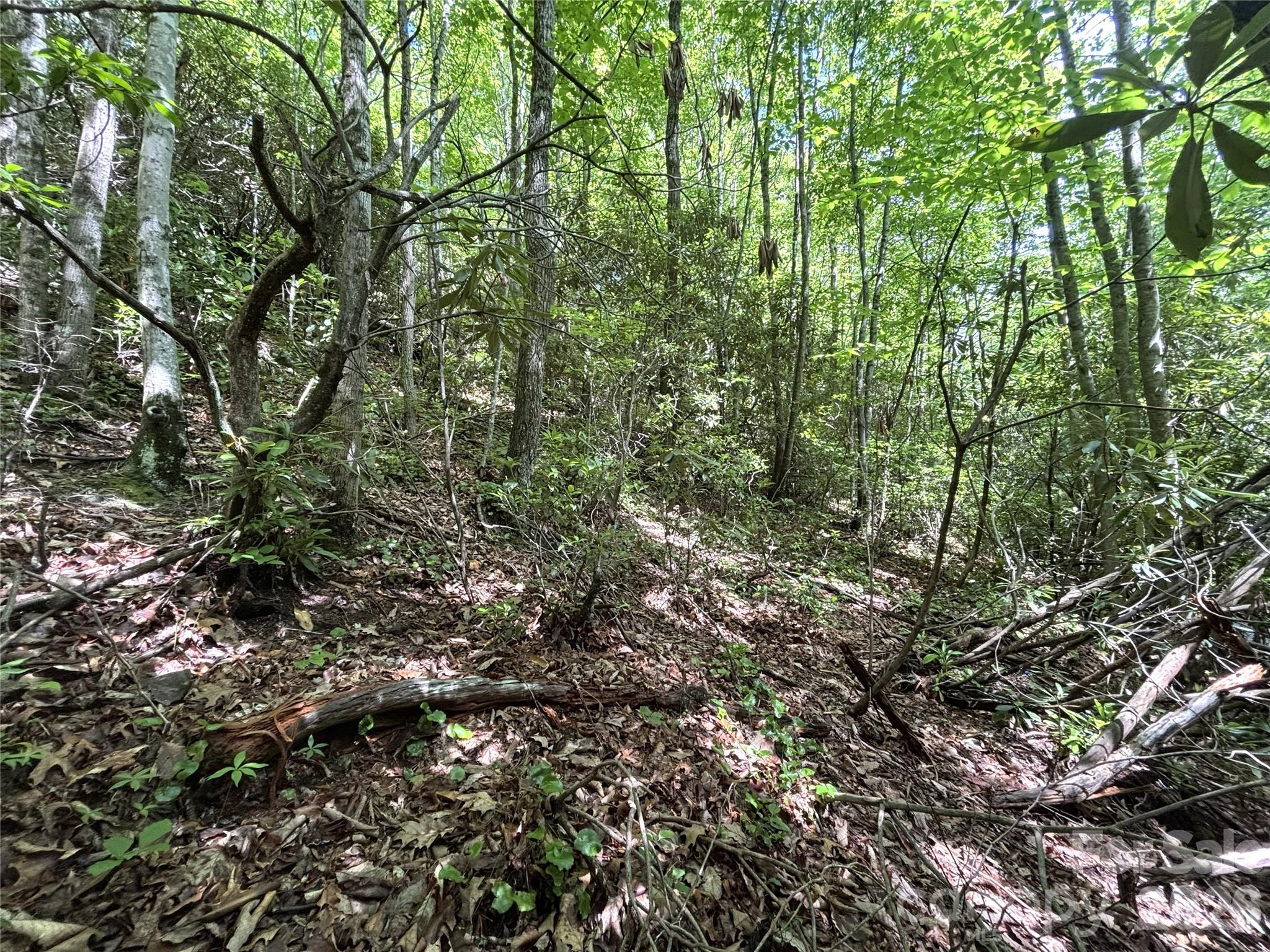 Big Springs Cove Estates - Land