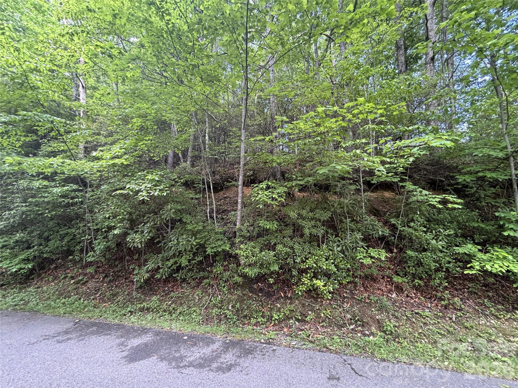 Big Springs Cove Estates - Land