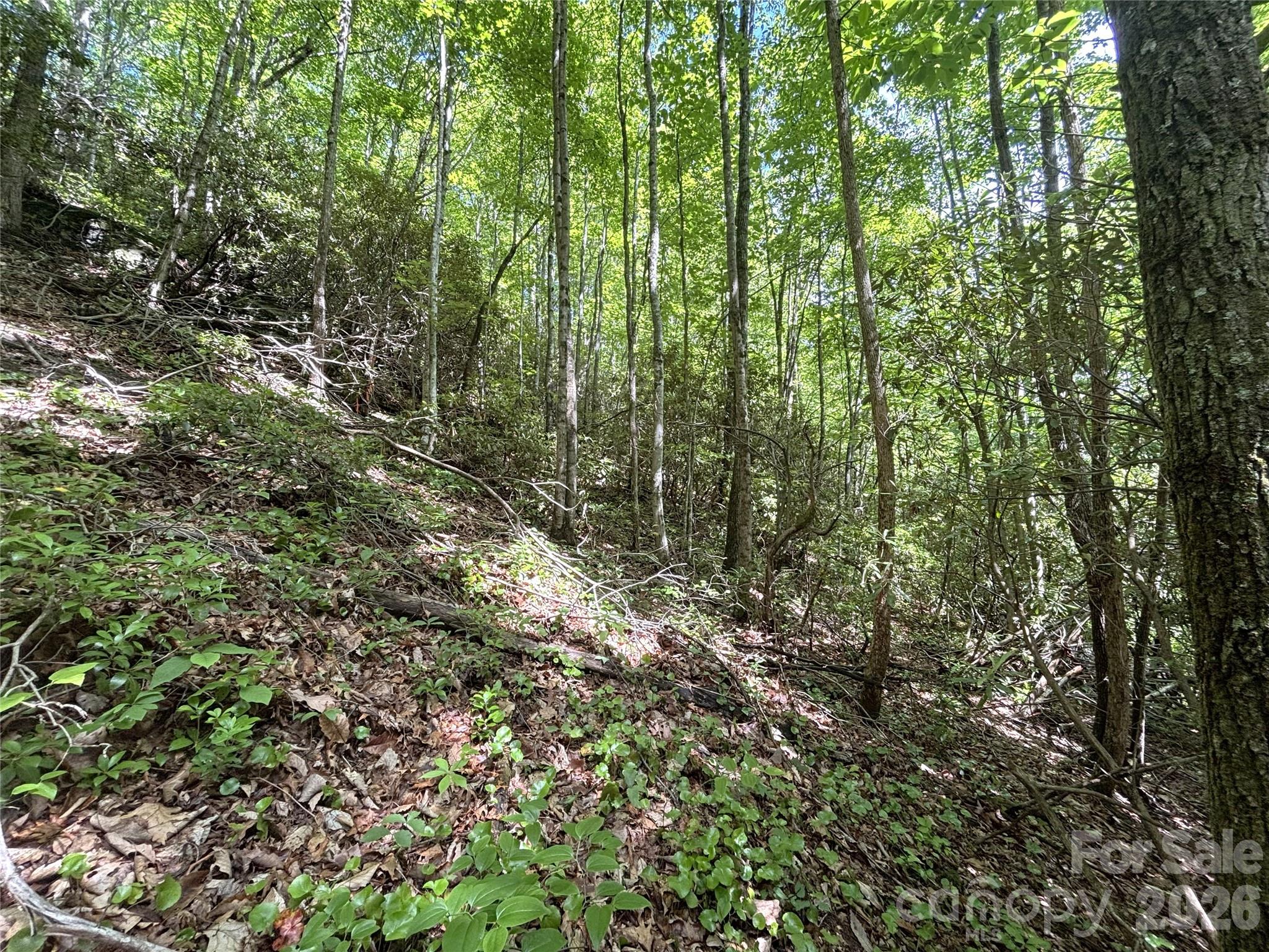 Big Springs Cove Estates - Land