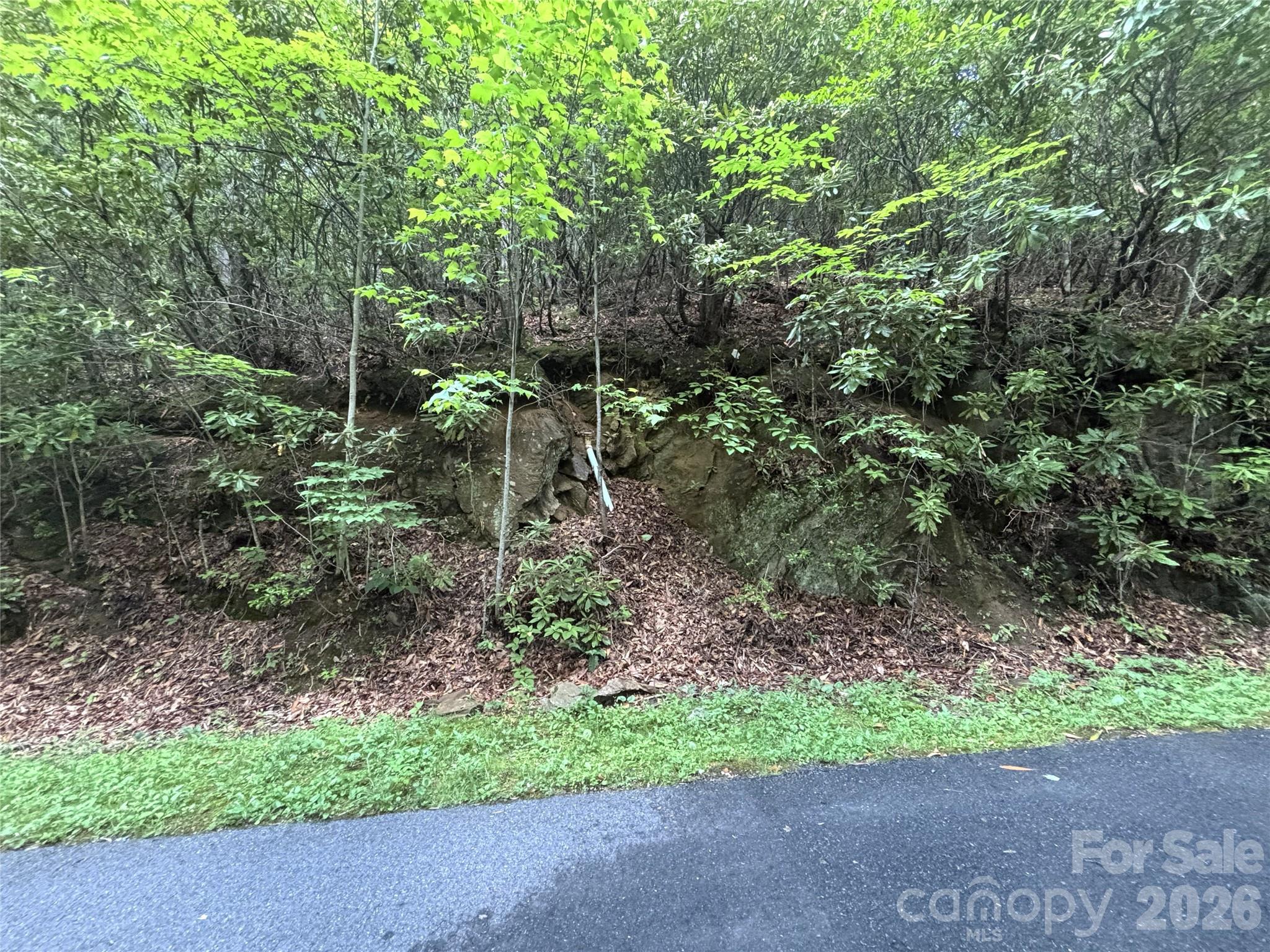 Big Springs Cove Estates - Land