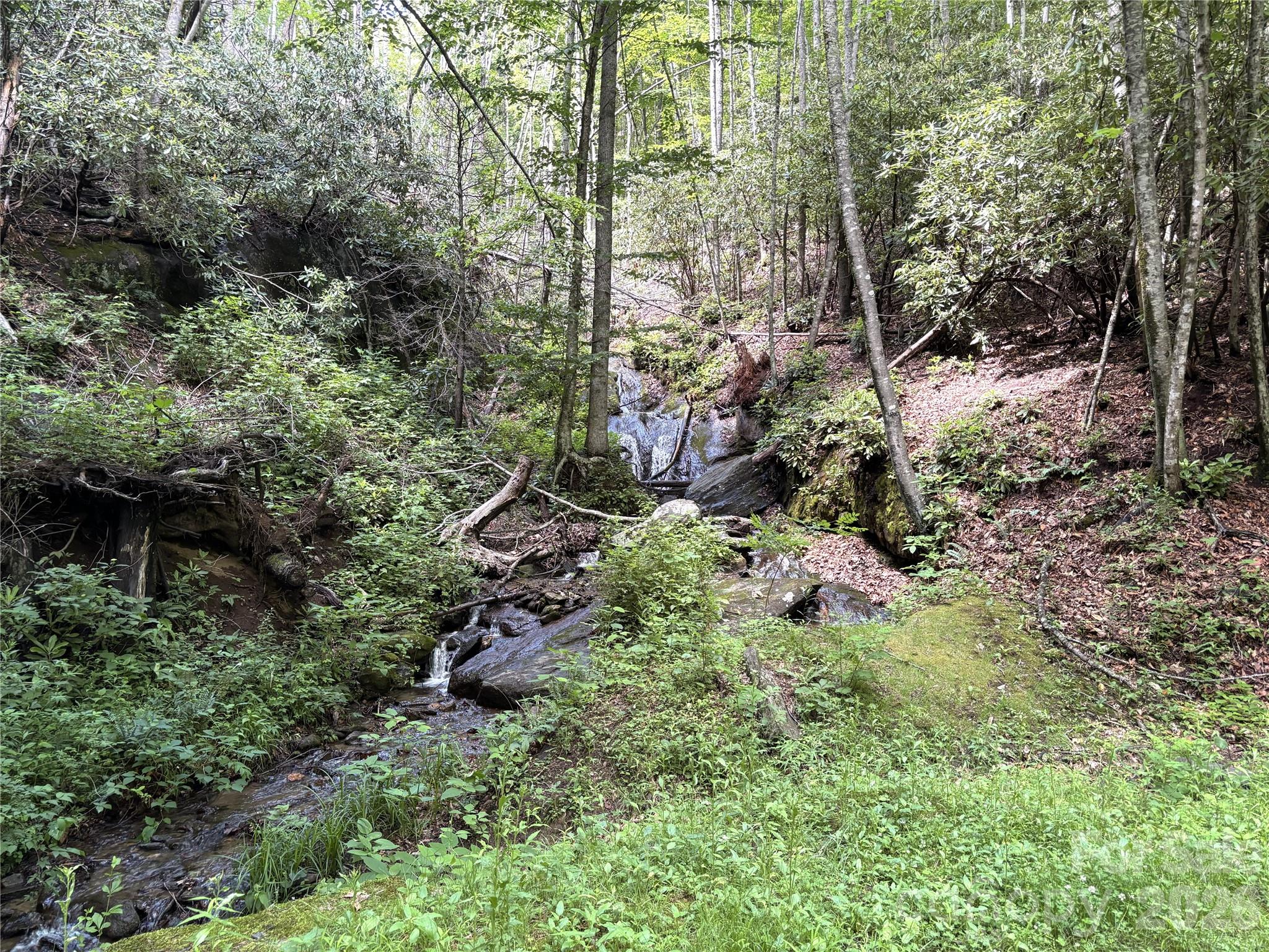 Big Springs Cove Estates - Land