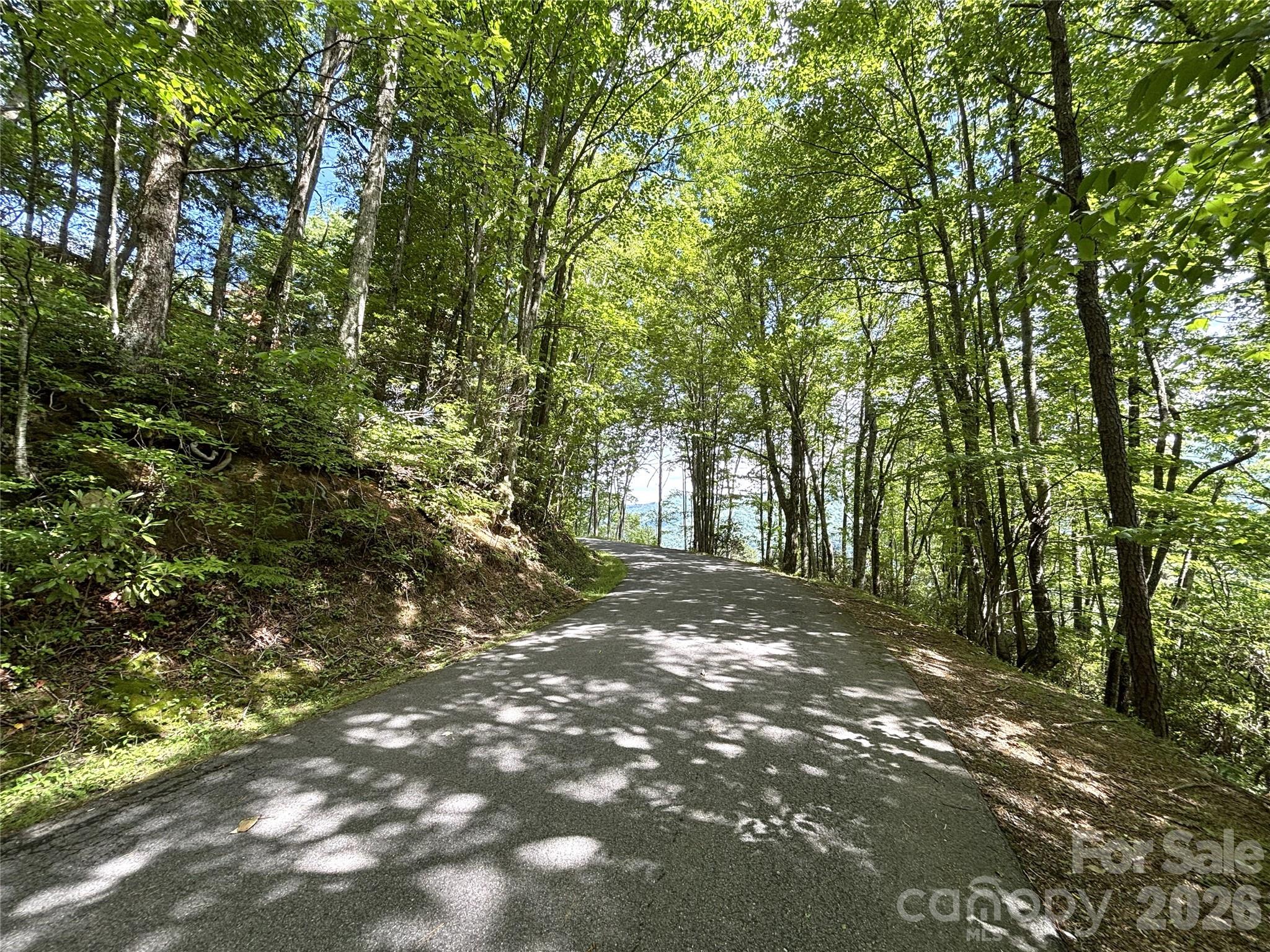 Big Springs Cove Estates - Land