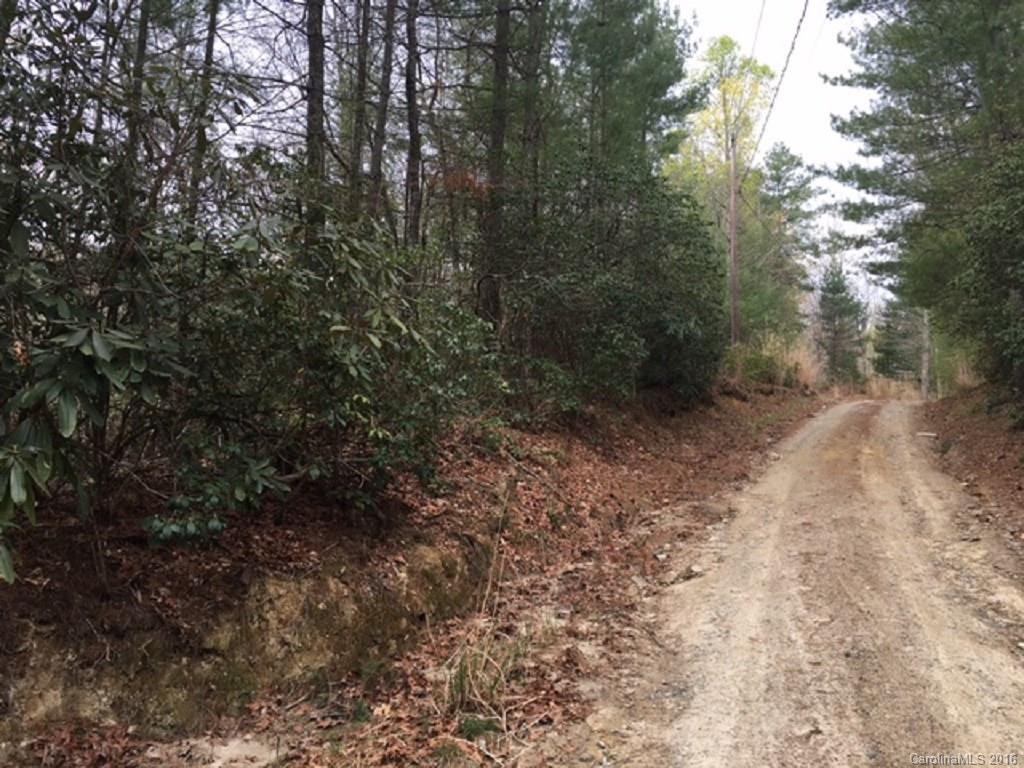 Laurel Cove Retreat - Land