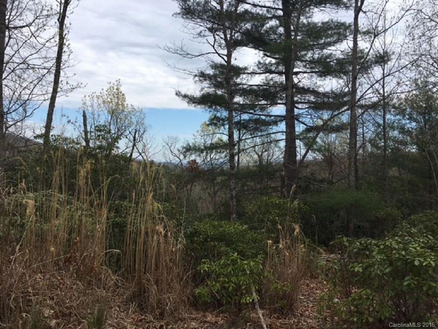 Wooded lots that can be cleared to build your dream house. Includes lots 7 and 8 with additional PIN's available for purchase.