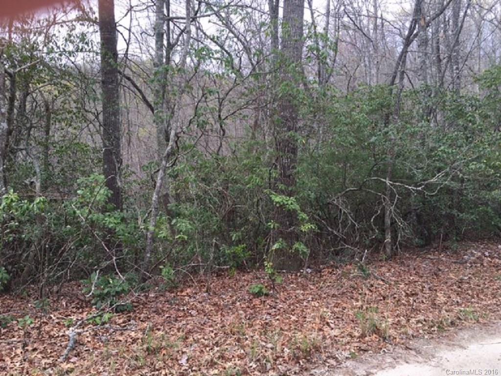 Laurel Cove Retreat - Land