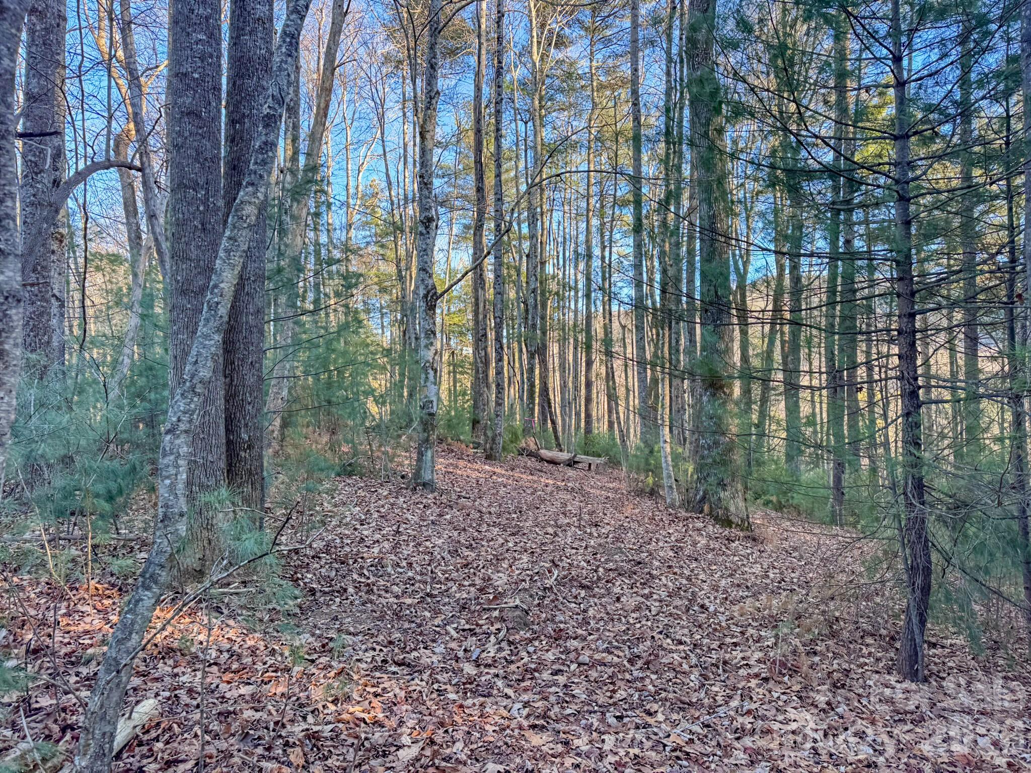 Lots 37 & 38 Settlers Ridge Road