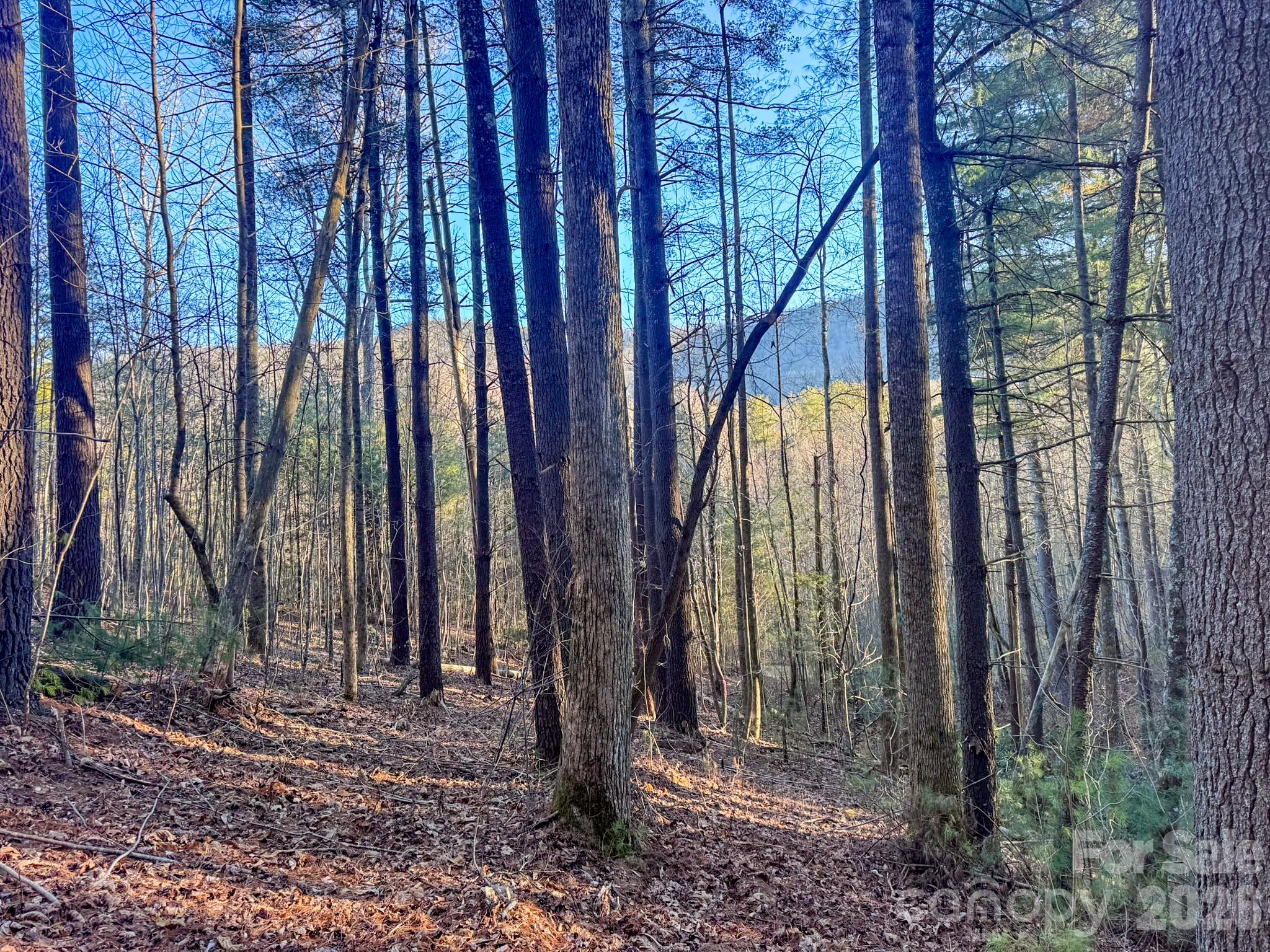 Lots 37 & 38 Settlers Ridge Road