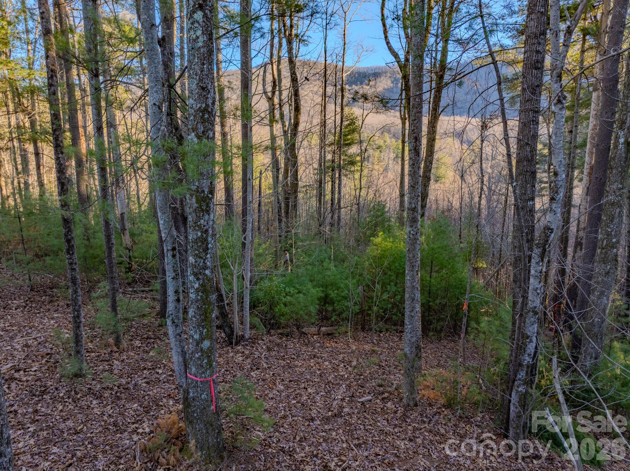 Lots 37 & 38 Settlers Ridge Road