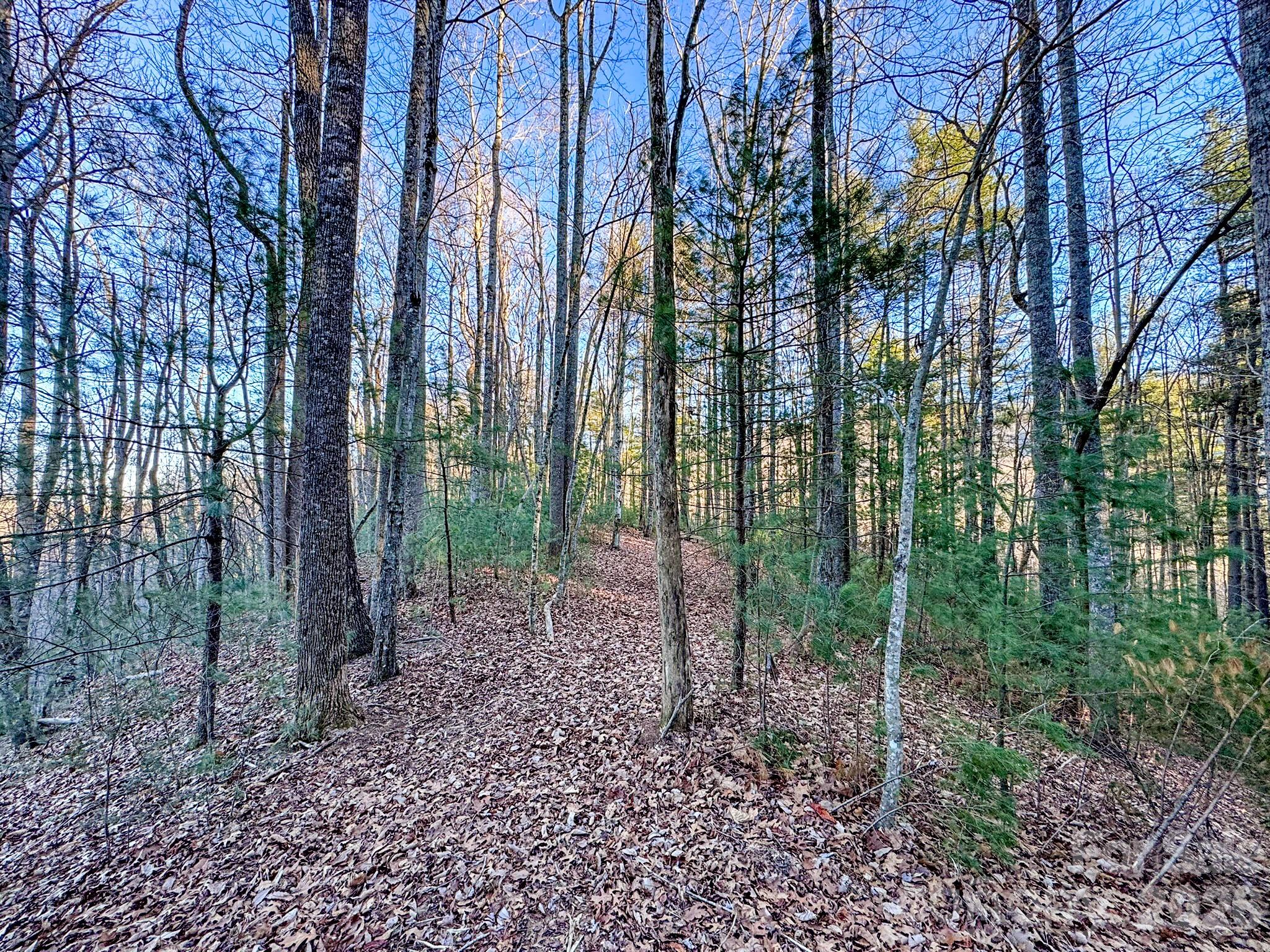 Lots 37 & 38 Settlers Ridge Road