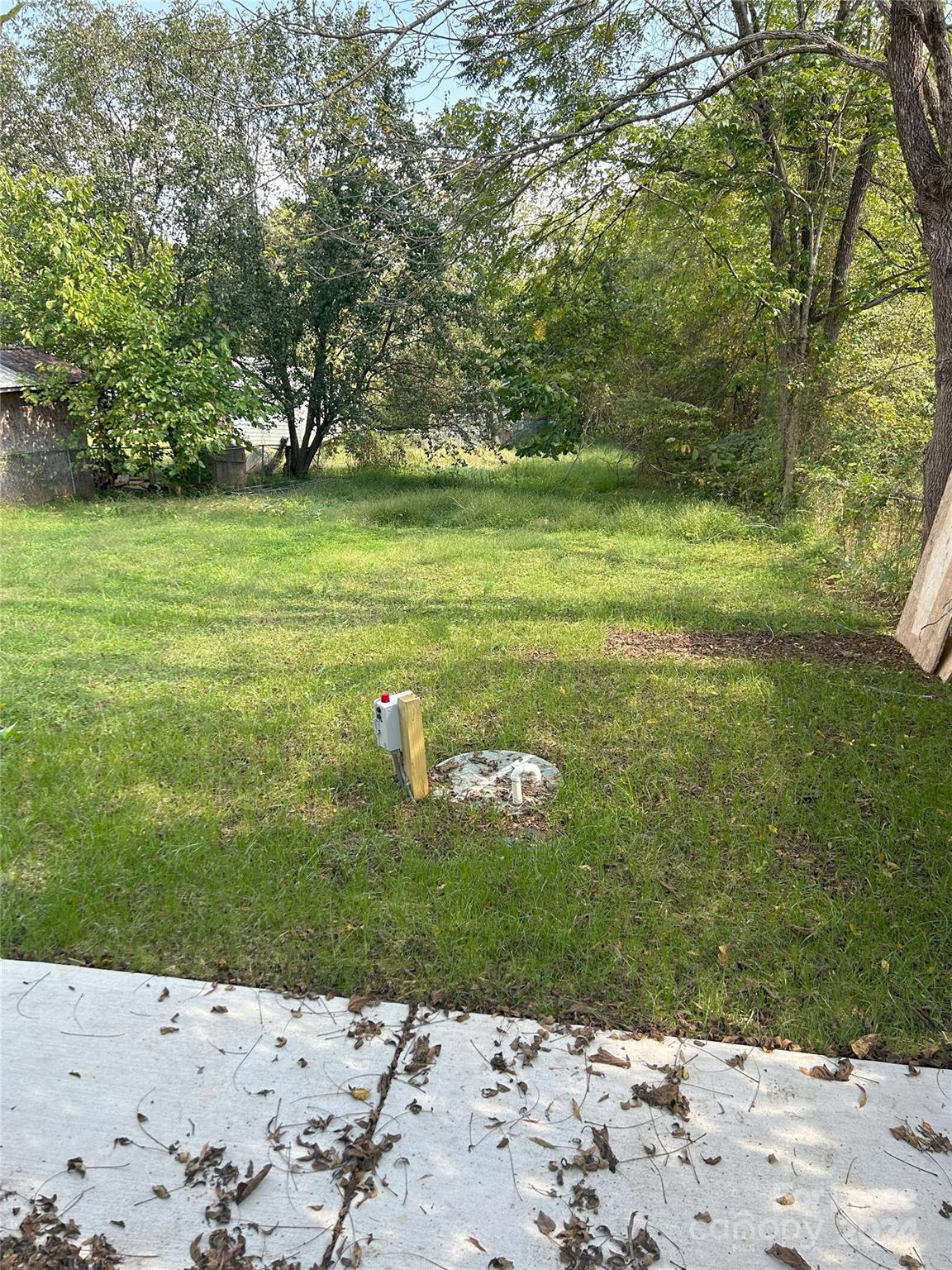 None - Residential Lease