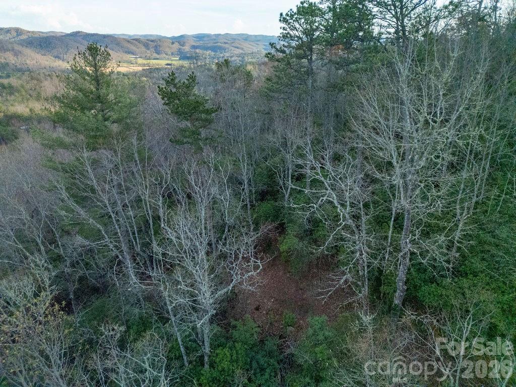 Forest Lake Estates - Residential