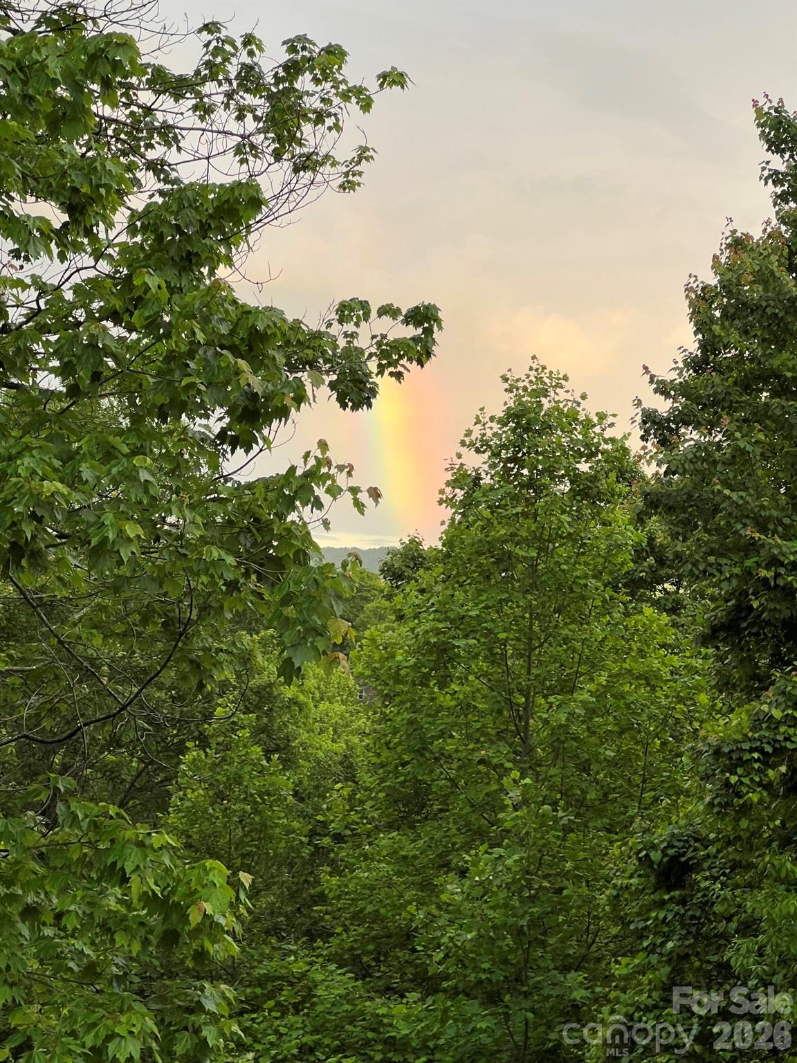 Forest Lake Estates - Residential