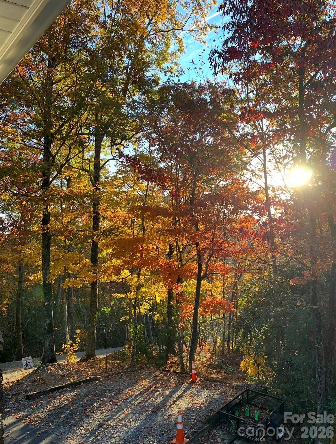 Forest Lake Estates - Residential