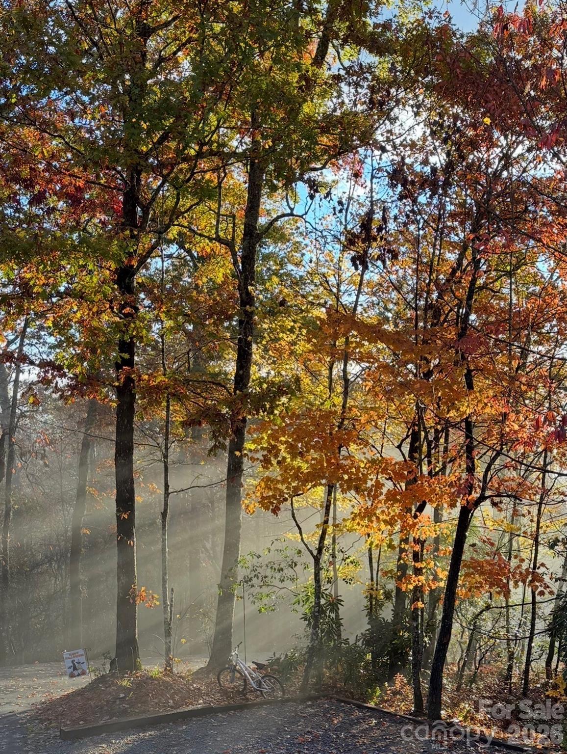 Forest Lake Estates - Residential