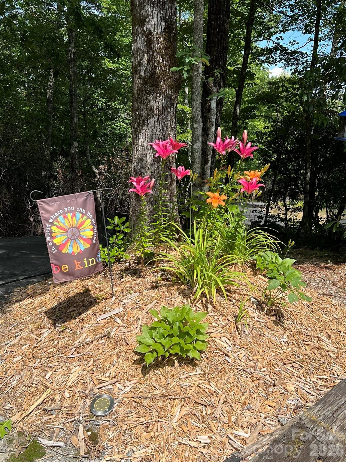 Forest Lake Estates - Residential