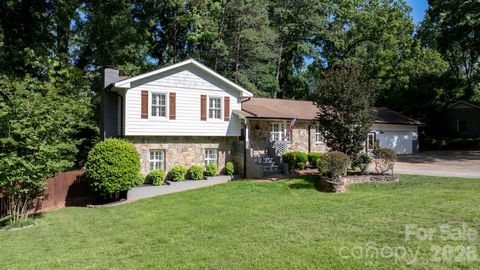 Photo of 14214 Honeysuckle Ridge Drive, Matthews, NC 28105 (MLS # 4381101)