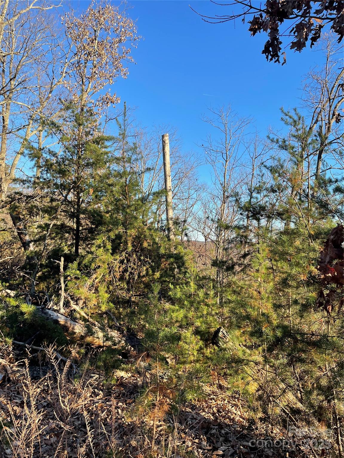 0 Brighton Drive 237