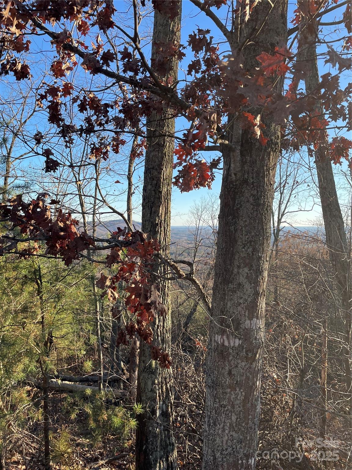 Yellowtop Mountain Estates - Land