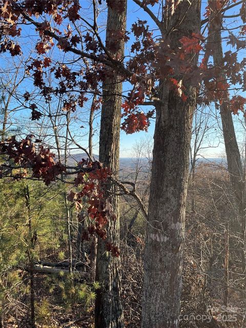 0 Brighton Drive 237 Bostic NC 28018