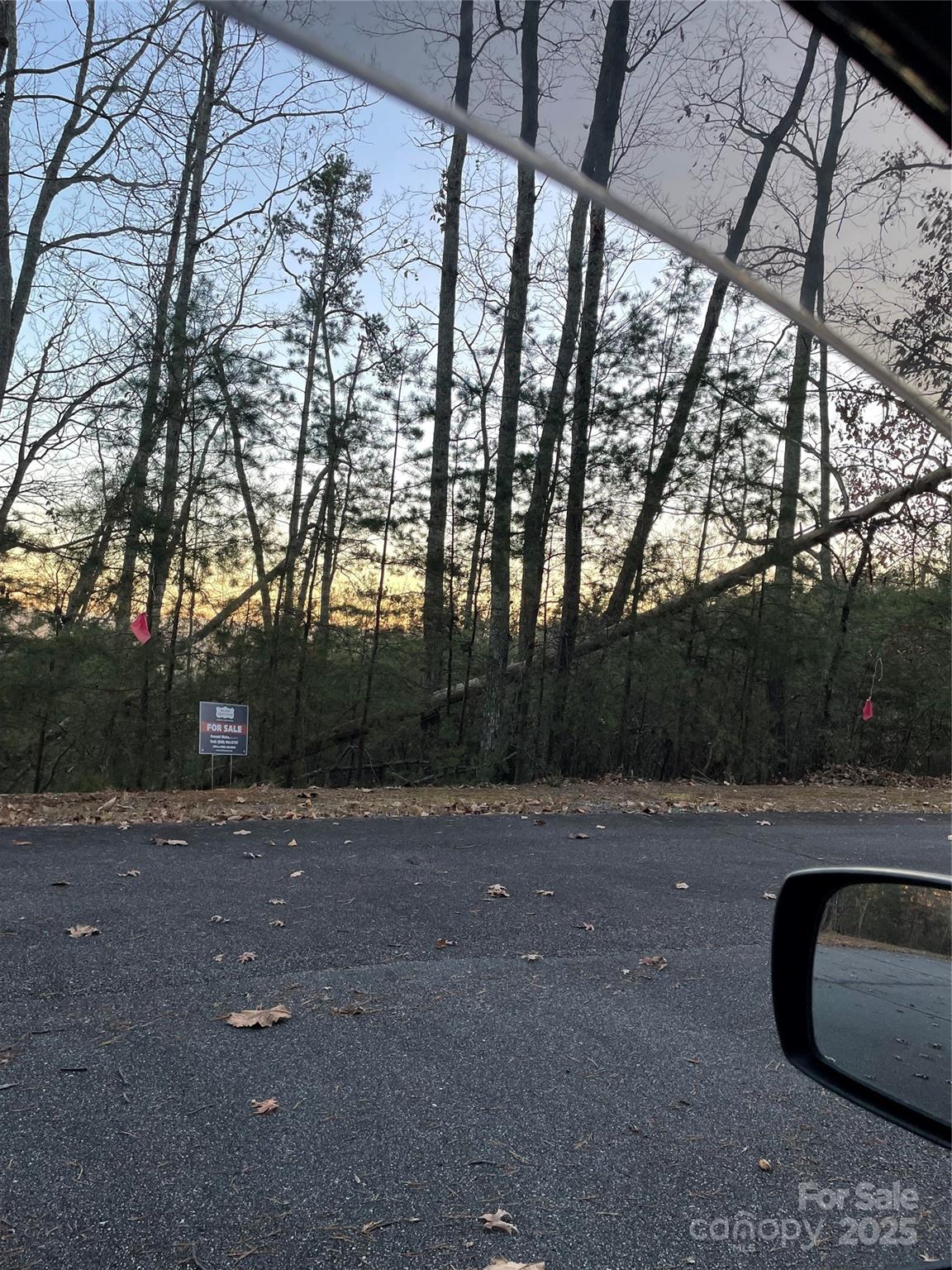 Yellowtop Mountain Estates - Land